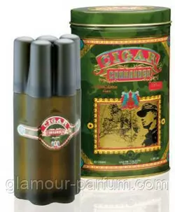 Чоловіча туалетна вода Remy Latour Cigar Commander (Ремі Латур Сігар Командер) Чоловіча туалетна вода Remy Latour Cigar Commander (Ремі Латур Сігар Командер)