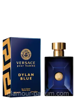 Чоловіча туалетна вода Versace Pour Homme Dylan Blue (Версаче Пур Хом Ділан Блю)