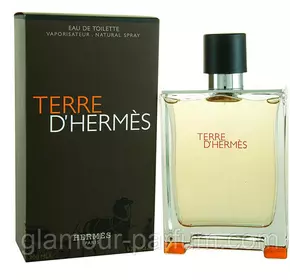 Парфумована вода для чоловіків Hermes Terre D ' Hermes (Гермес Терре Де Гермес)